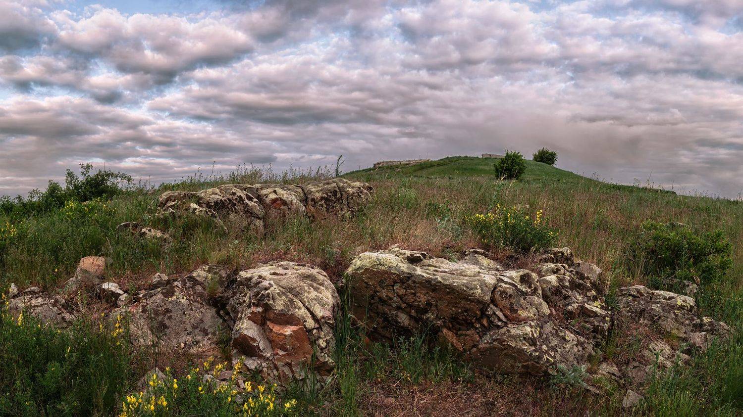 , Юрий Диденко