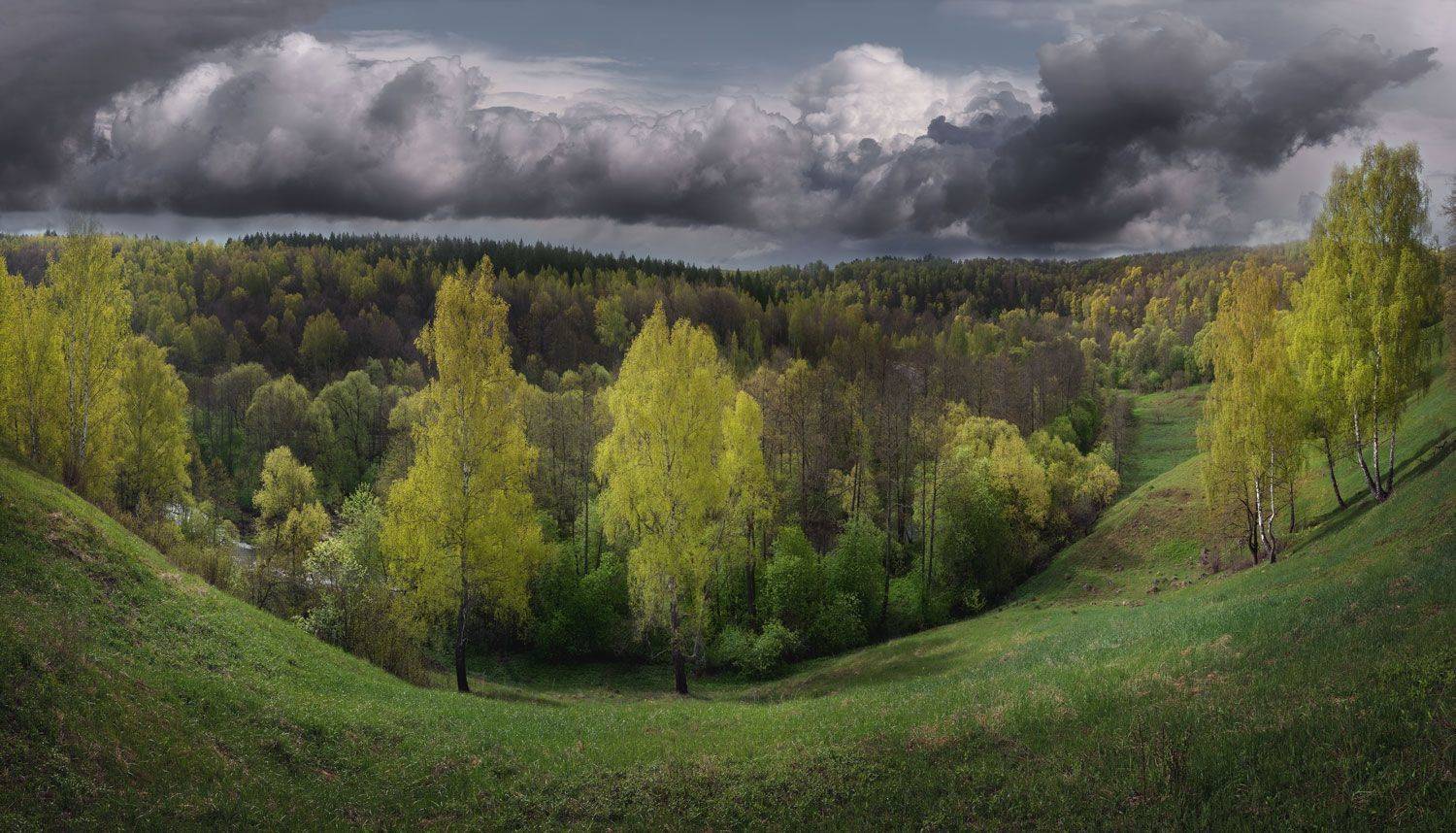 , Баранов Олег