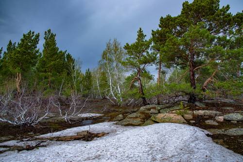 Весна в Корнеевке