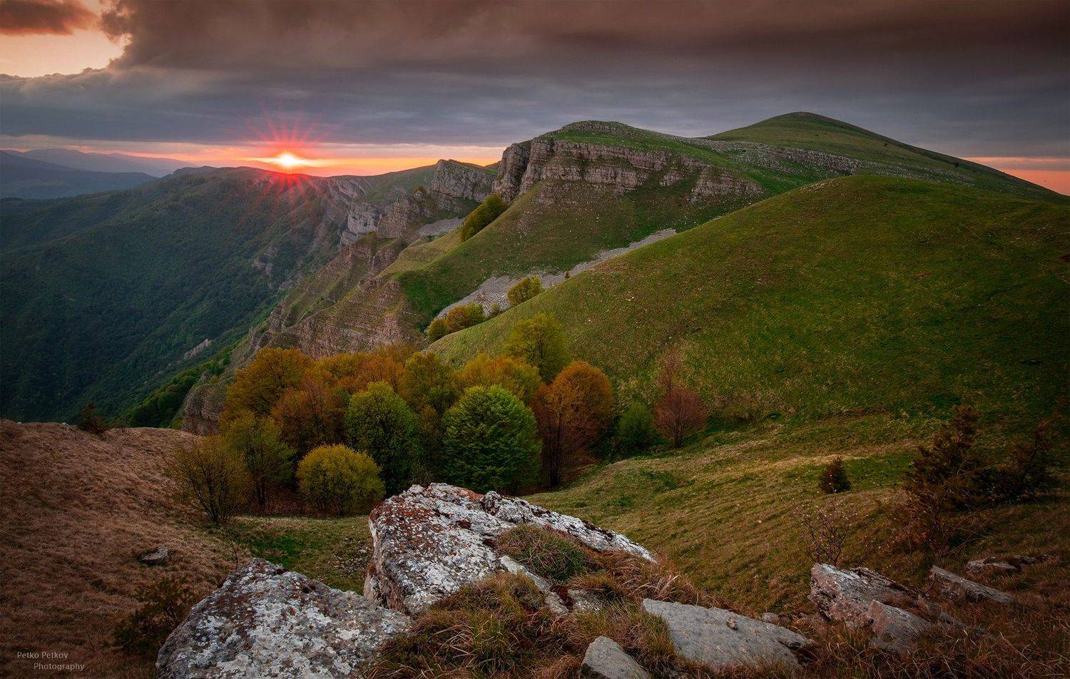 , Петко Петков