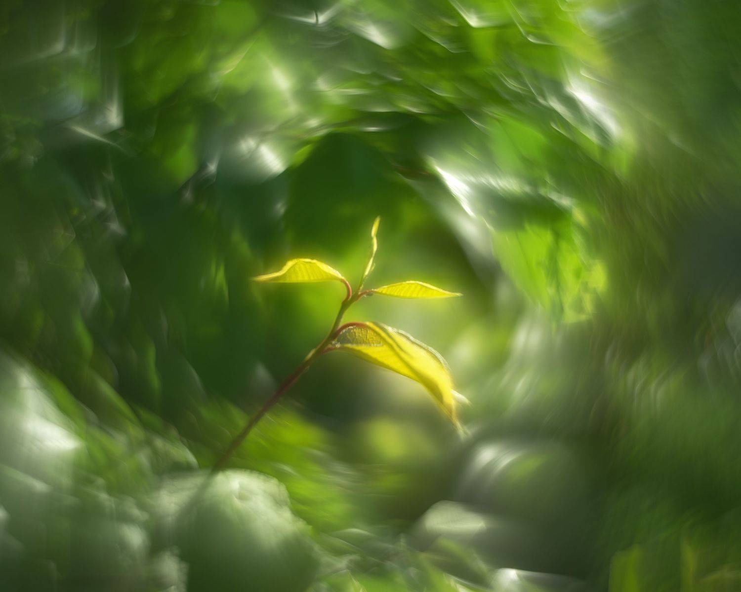 , Валерий Вторыгин