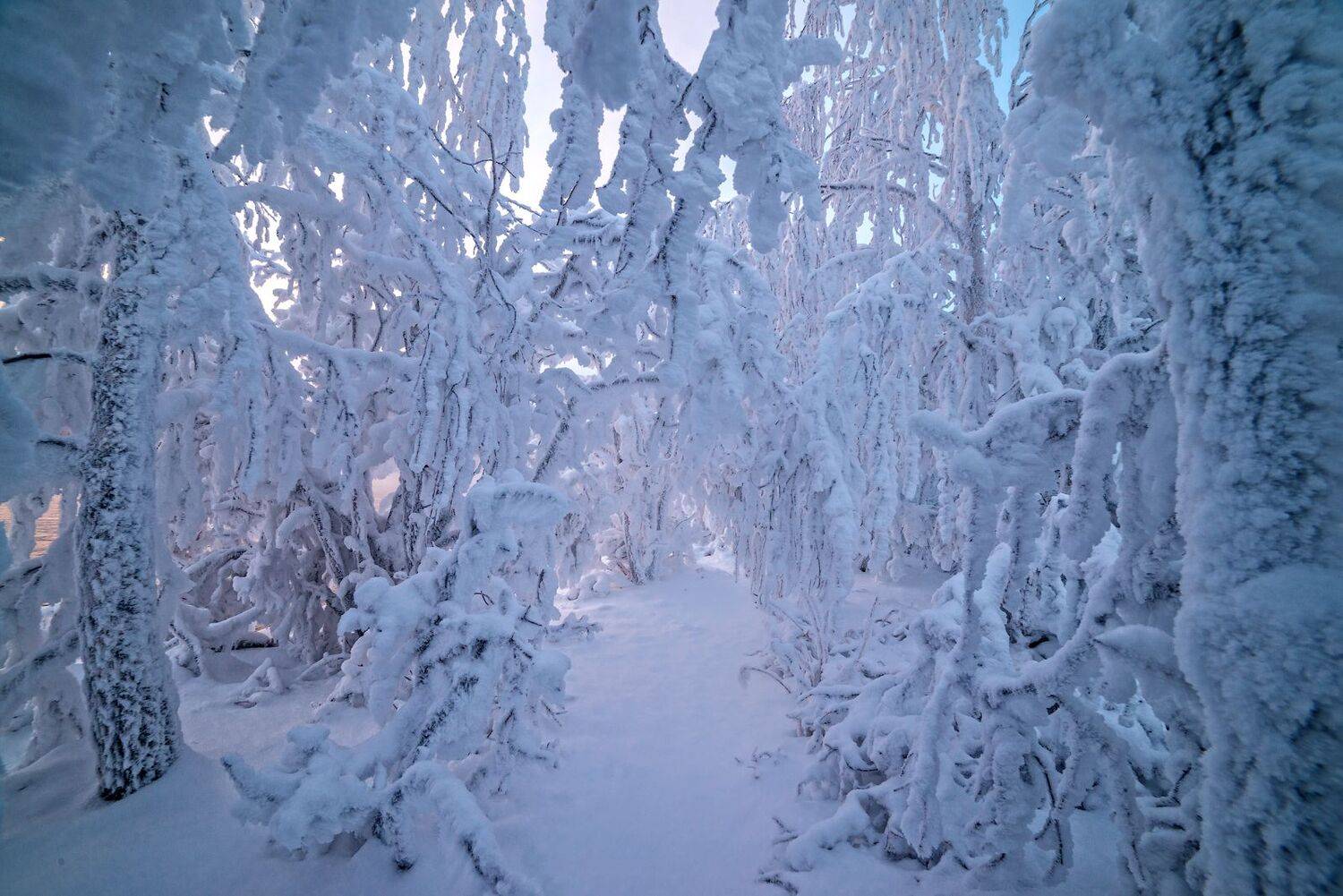 север, кольский, заполярье,, Роман Горячий