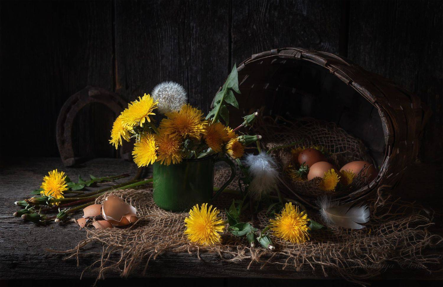 , Елена Зимацкая