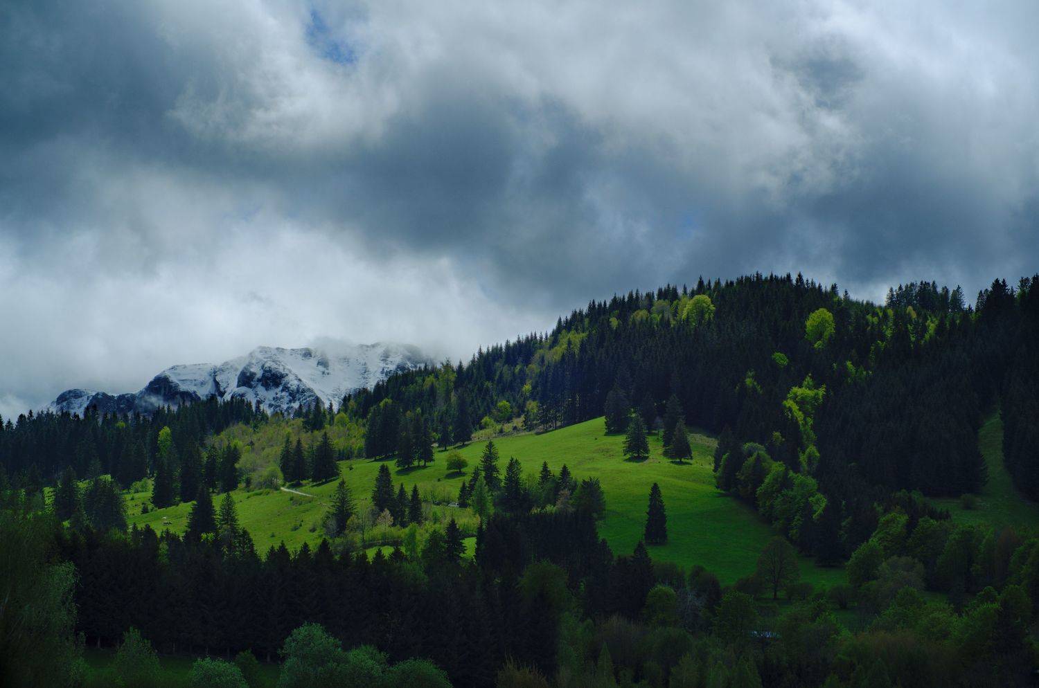 alps, landscape, summer, mountains, Владимир Кетов
