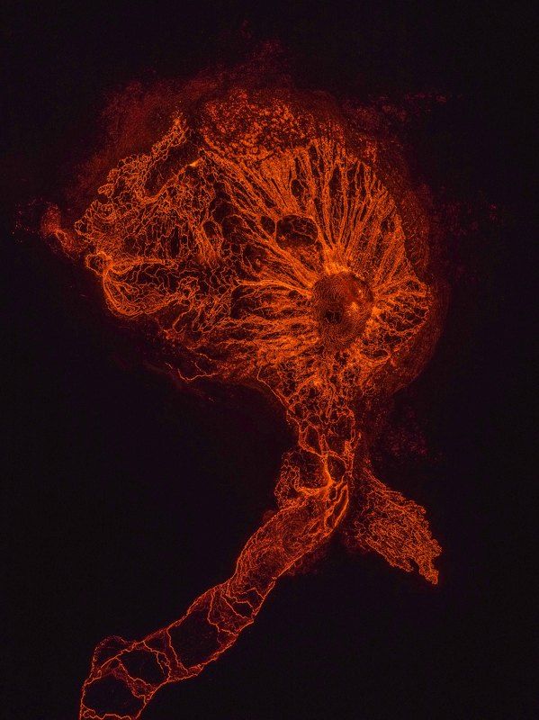 ......... фото превью