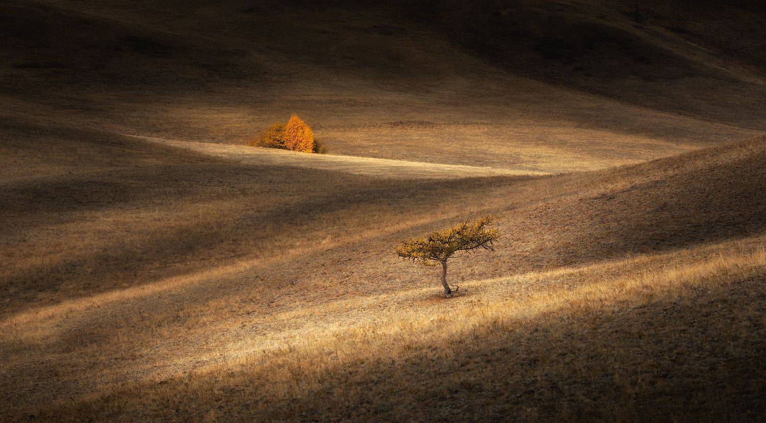 , Бирюкова Татьяна