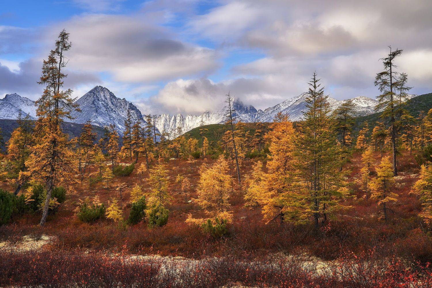 , Сергей Межин