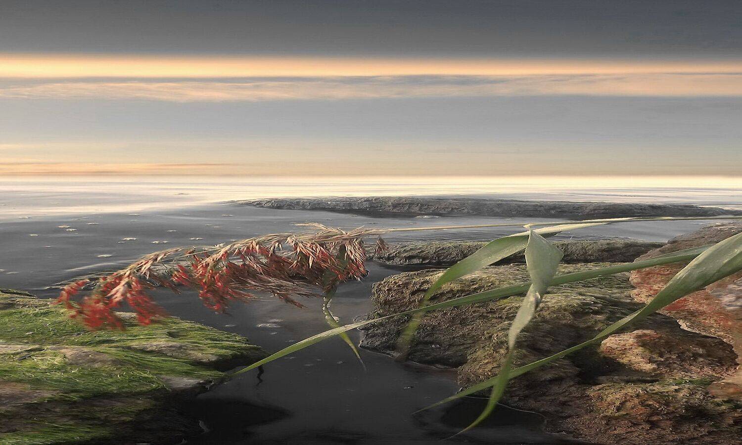 одесса, Сергей Кошелев