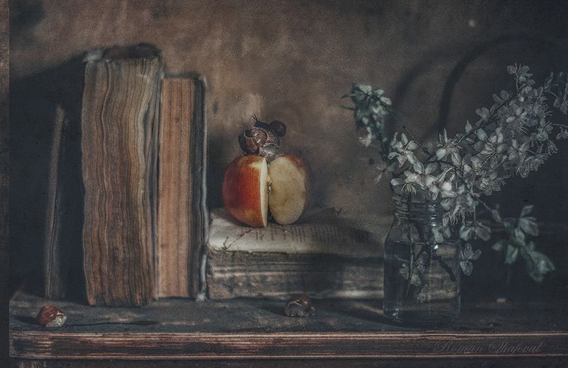 Натюрморт с улиткой.... фото превью