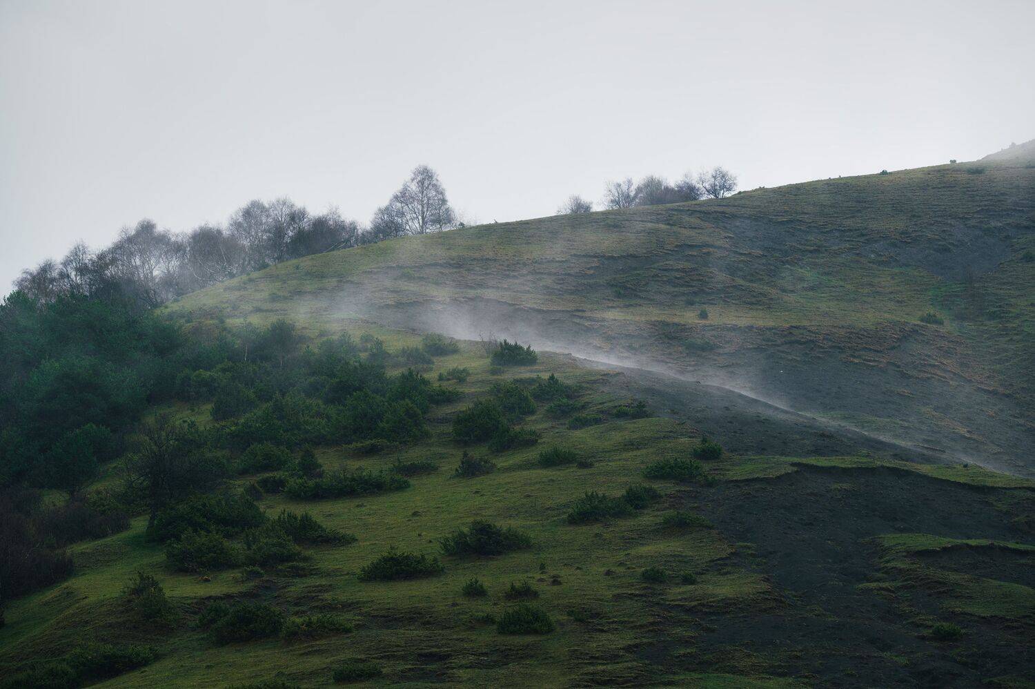 ingushetia, landscape, mountains, spring, nature, caucasus, hill, fog, trees, hillside,, Бугримов Егор