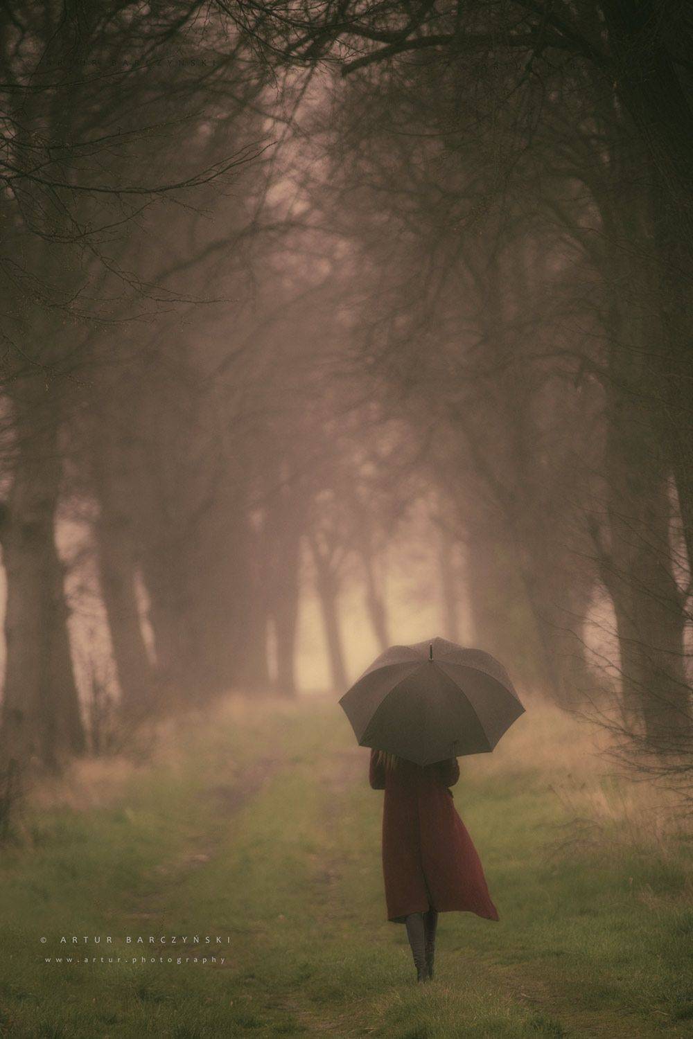 #rain #trees #umbrela #artur #barczynski #lodz #poland, Artur Barczyński