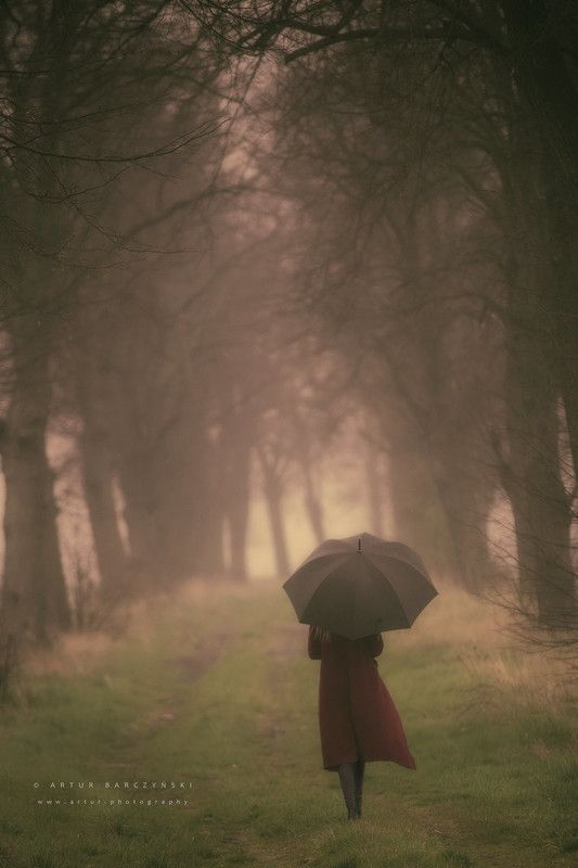 #rain #trees #umbrela #artur #barczynski #lodz #poland rain фото превью