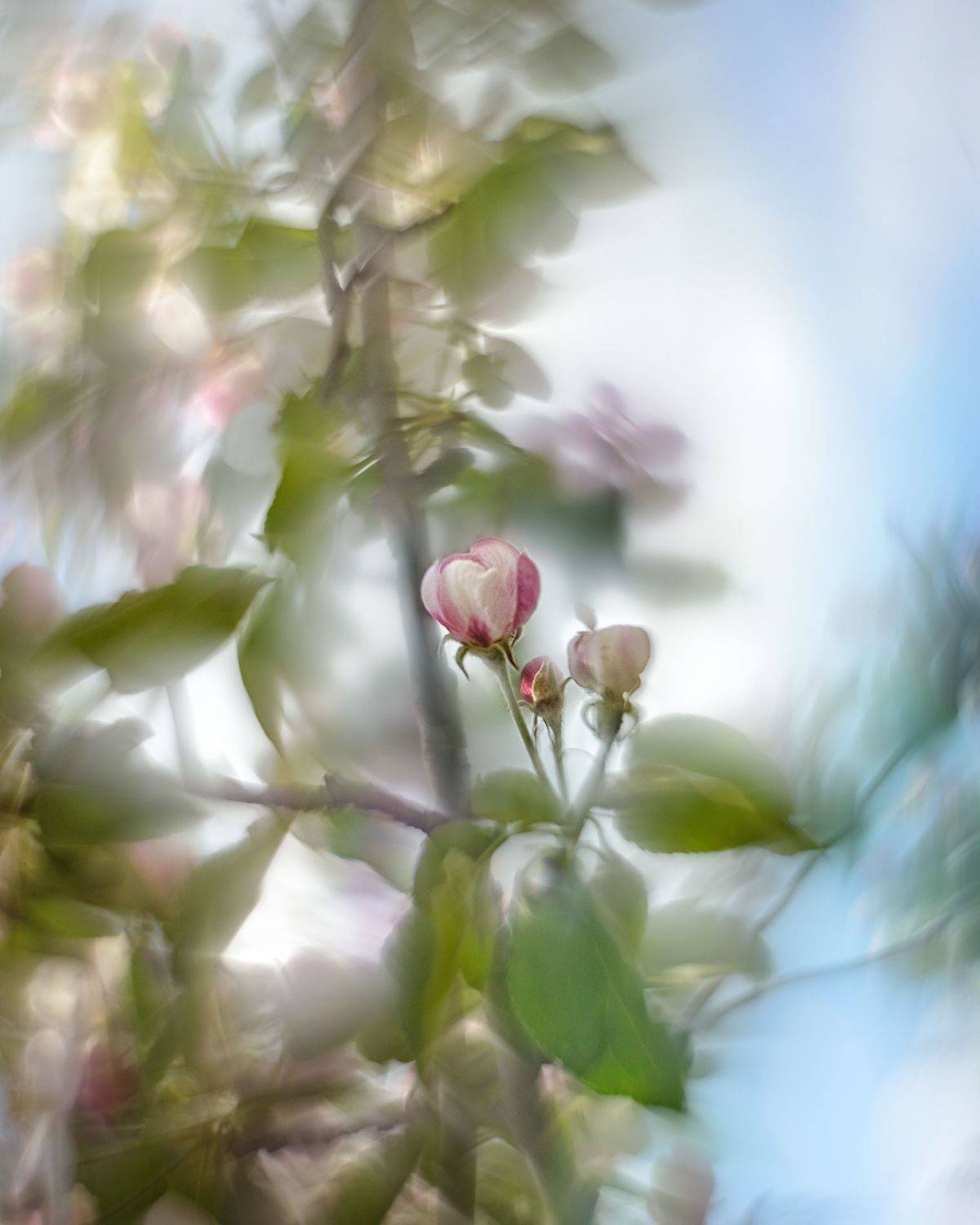 , Валерий Вторыгин