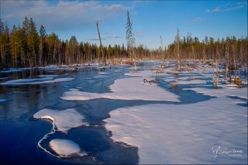 * * * фото превью