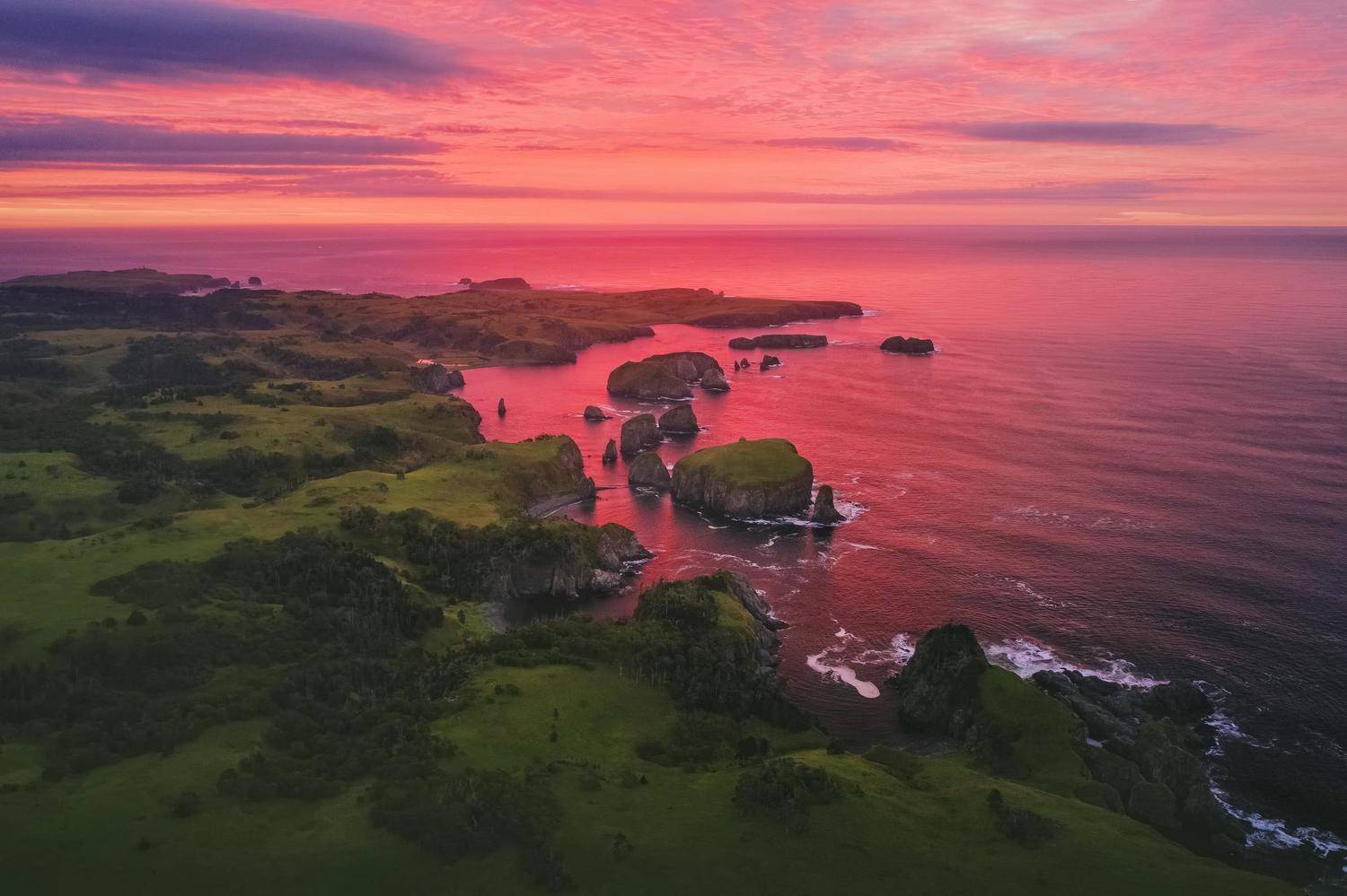 , Разум Митя