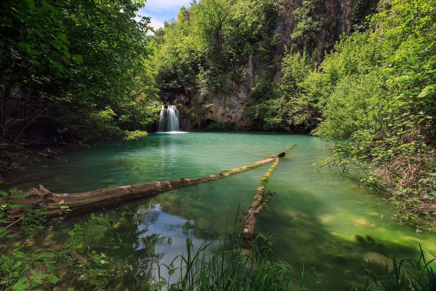 , Александър Сандев