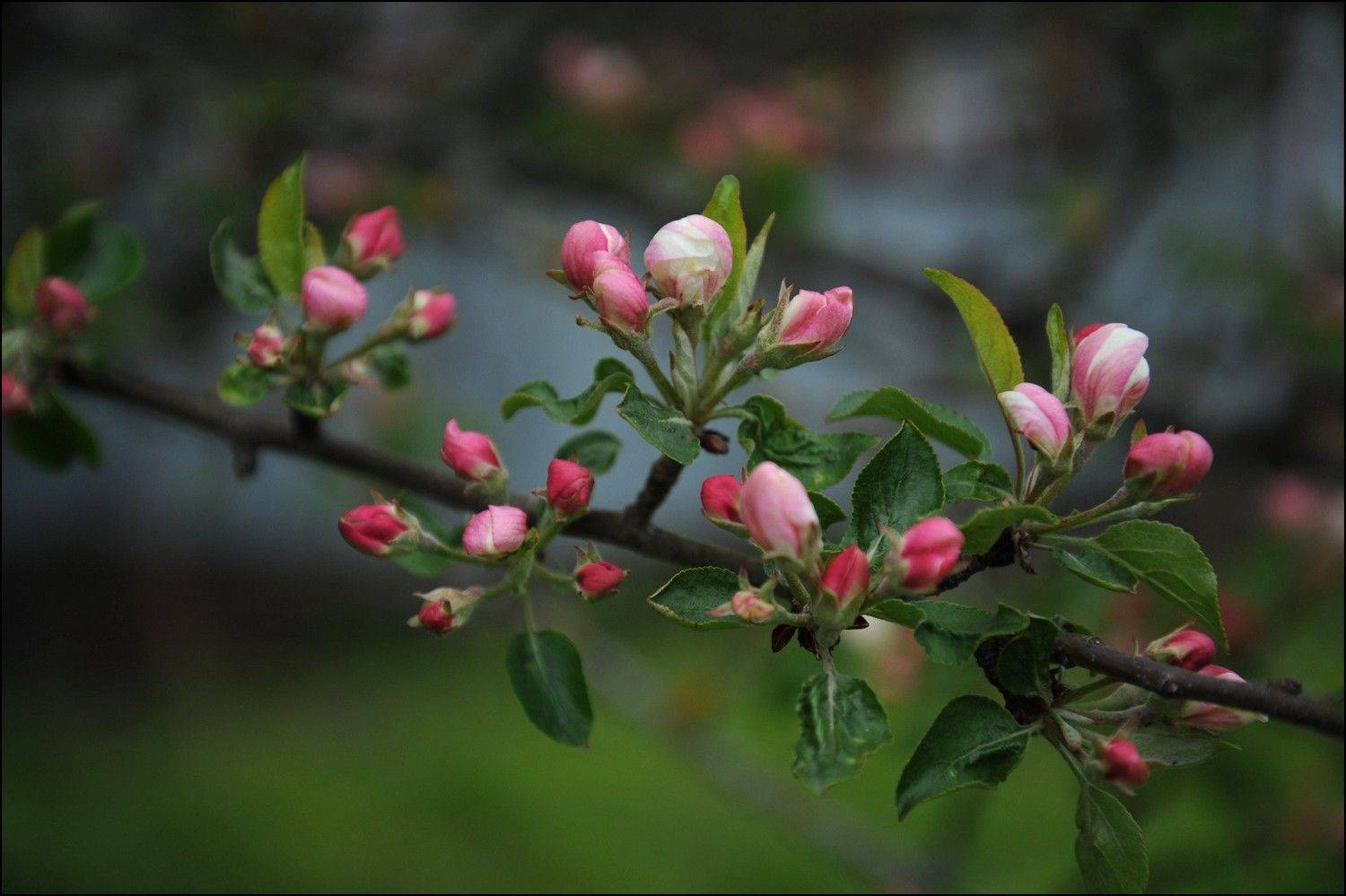 , Дарья Васильева