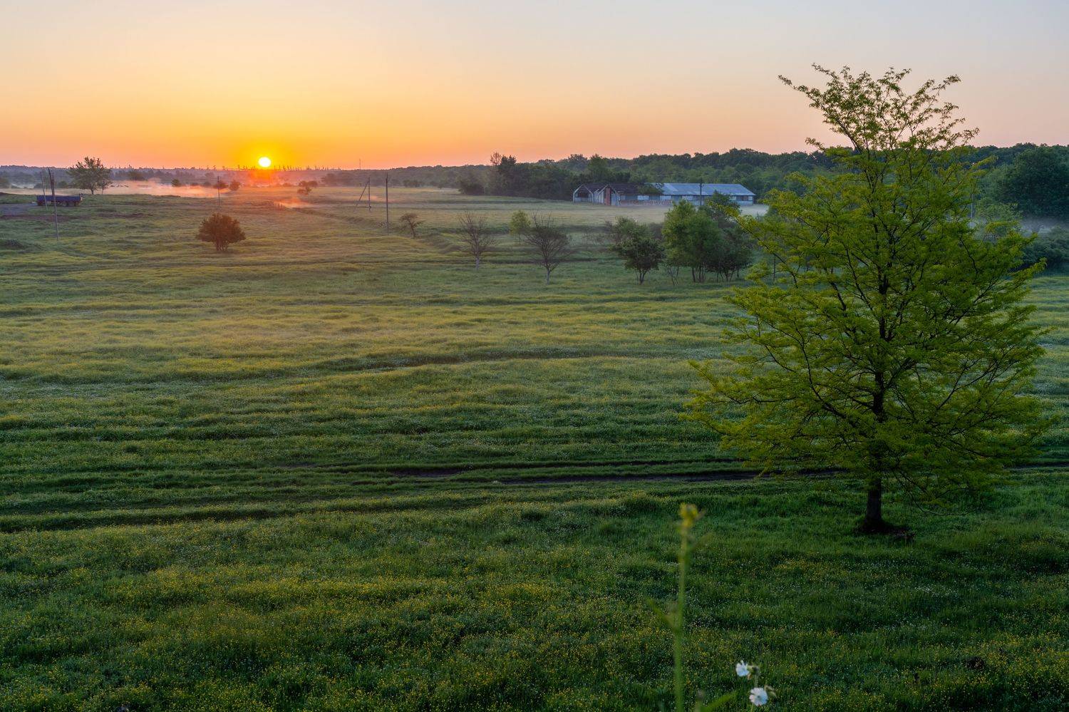 , Елена Плотникова