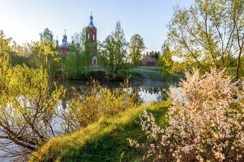 Май  цветущий