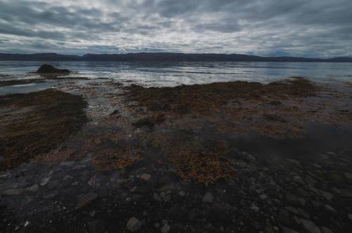 Barents sea.