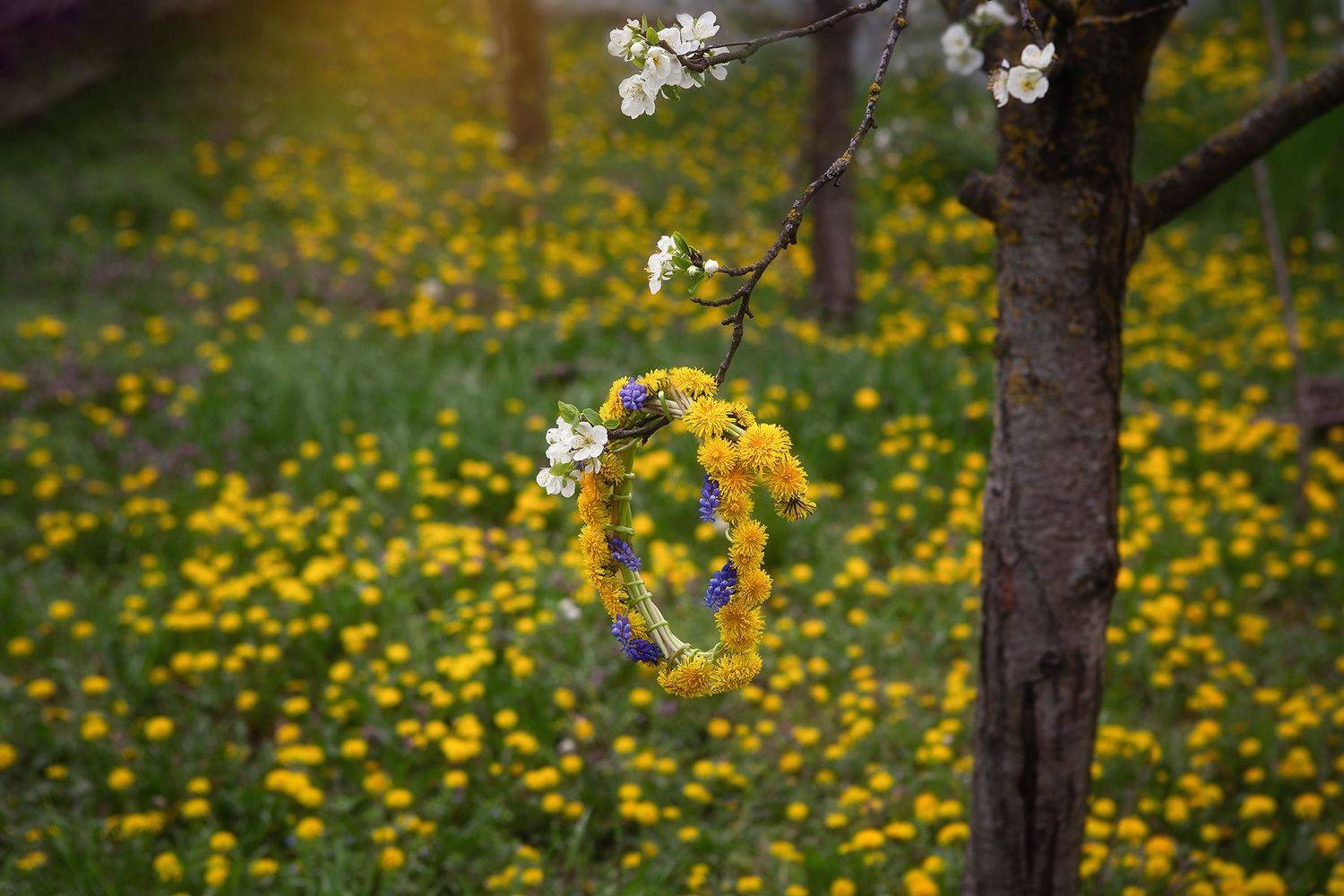 , Инна Сухова