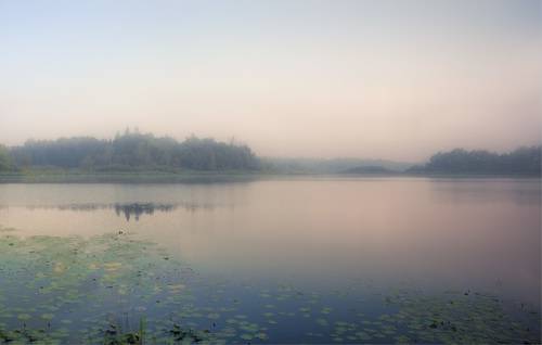 Мелодия утреннего света...