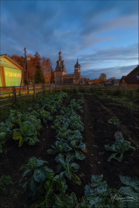 * * * фото превью