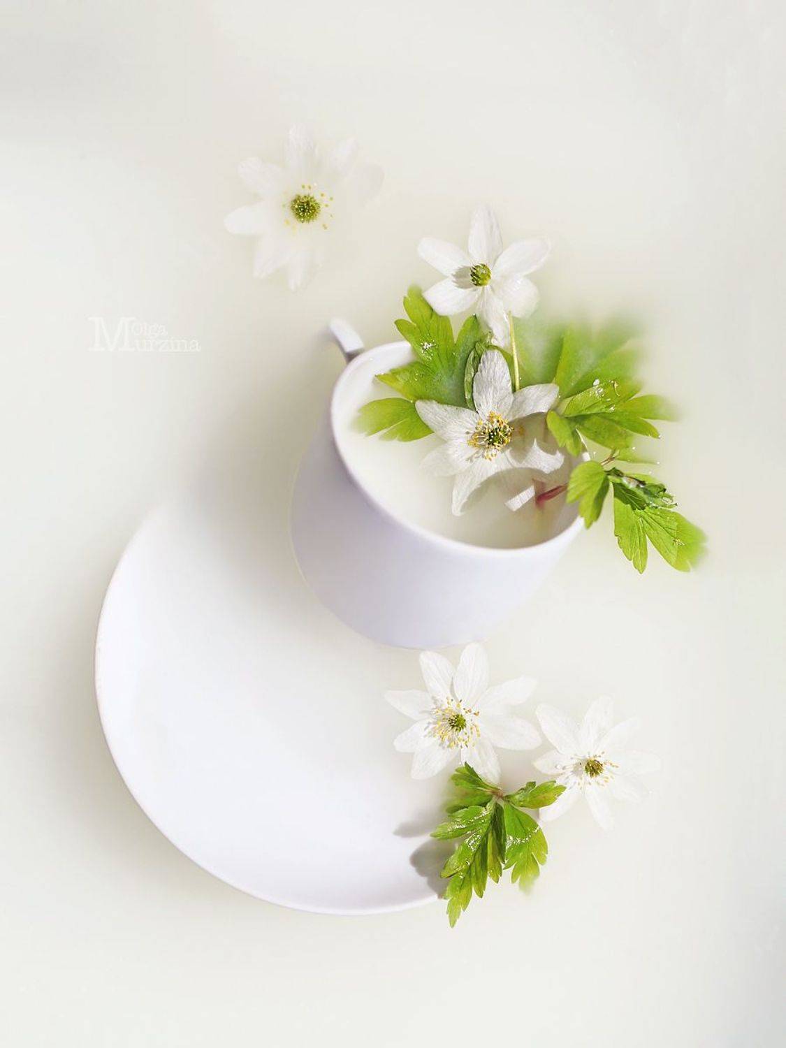 , Мурзина Ольга