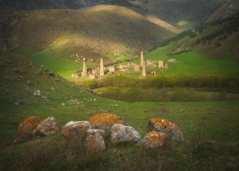 таргим Таргим фото превью