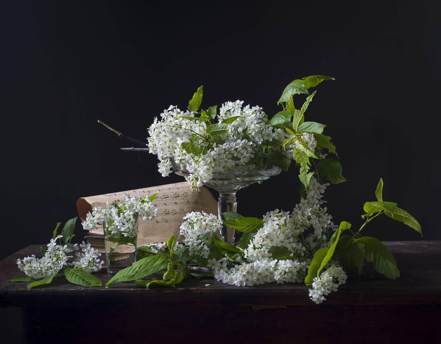 , Оксана Евкодимова