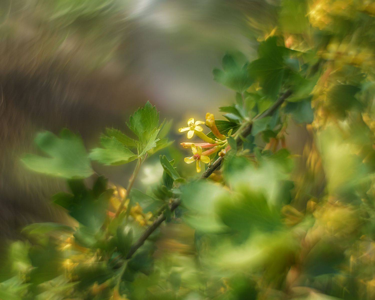 , Валерий Вторыгин