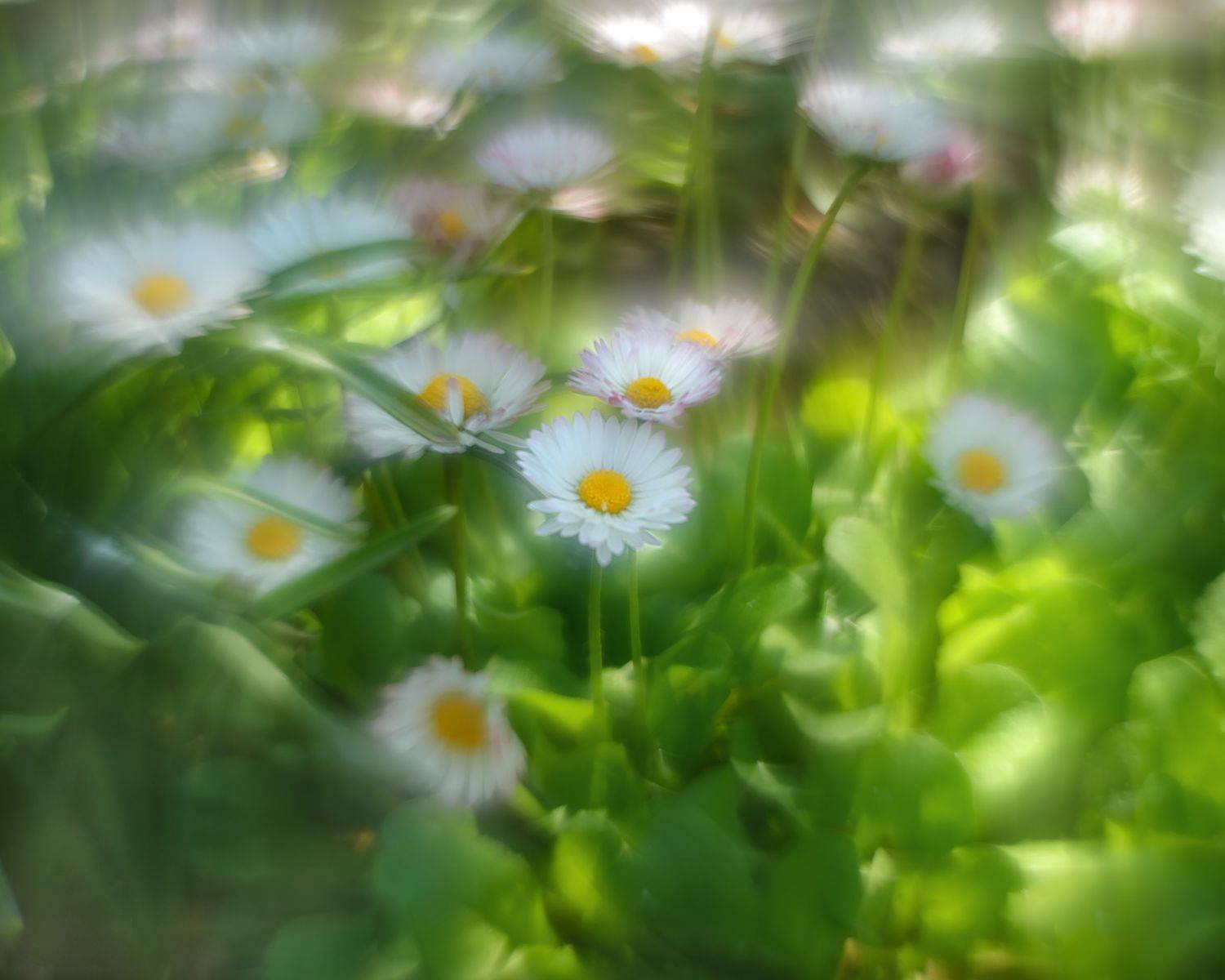 , Валерий Вторыгин