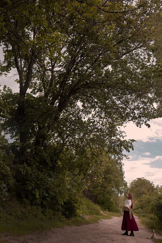 фото превью