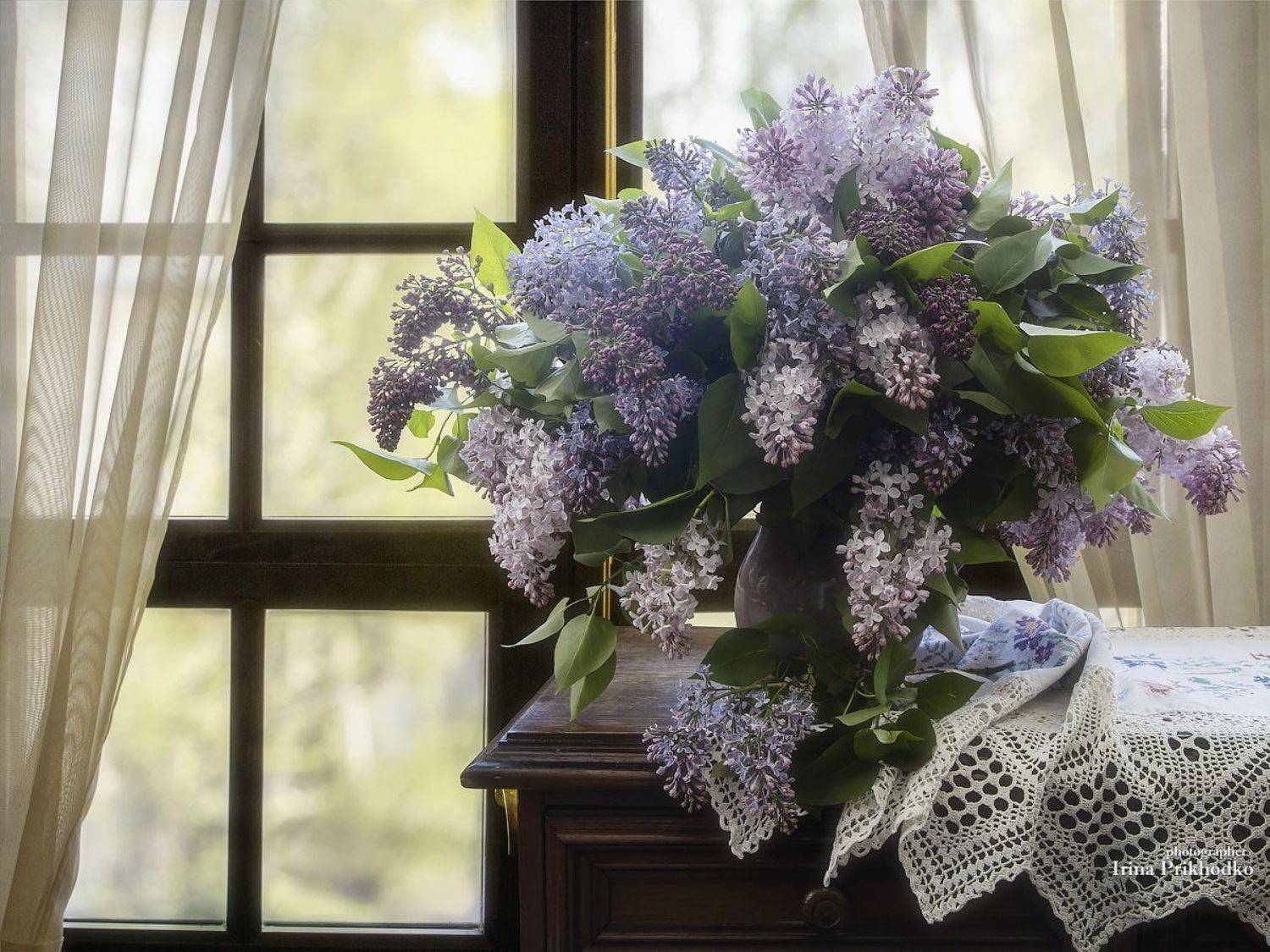 натюрморт, сирень, букеты, цветы, цветочный фотокартина, Приходько Ирина