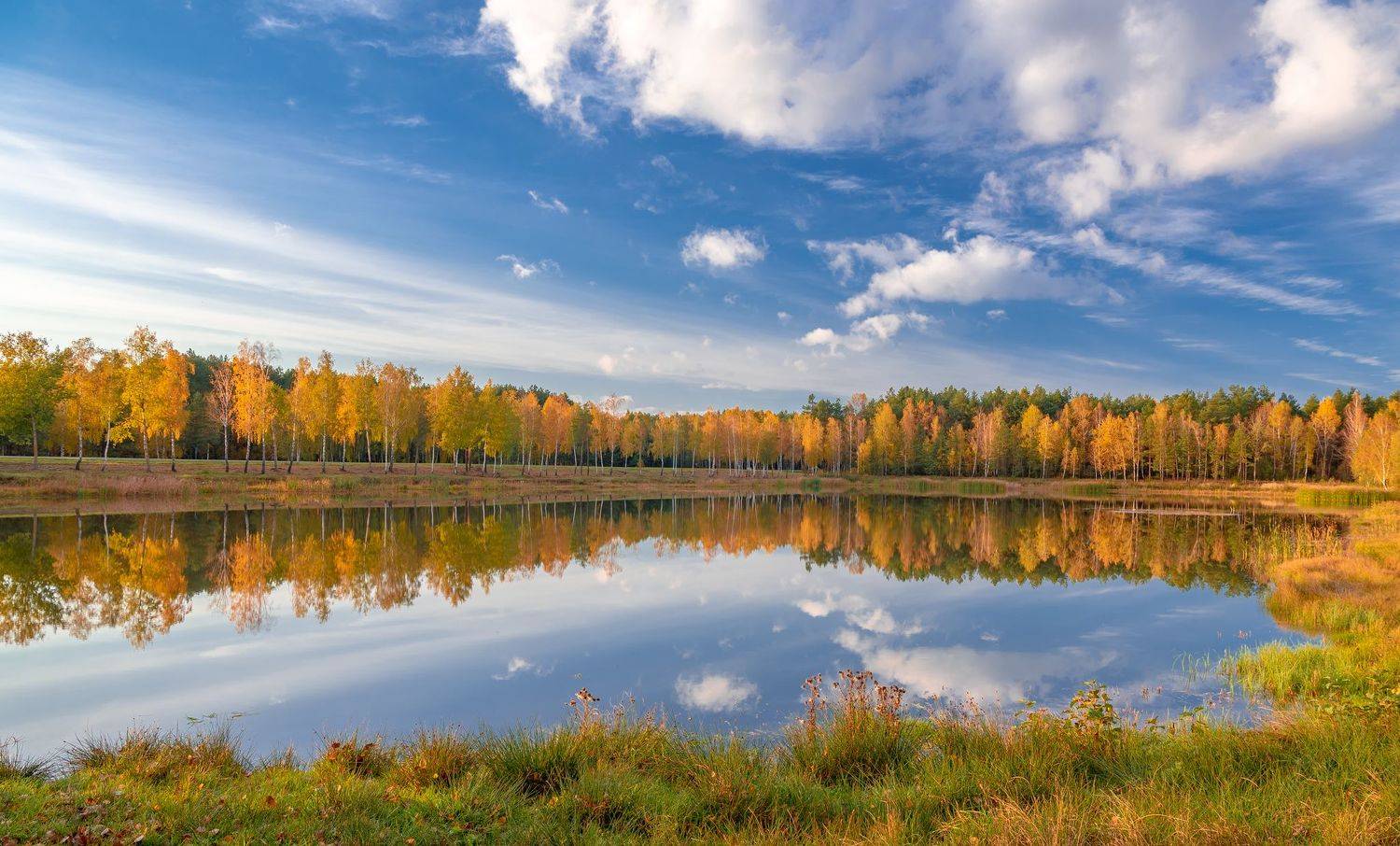 , Руслан Авдевич