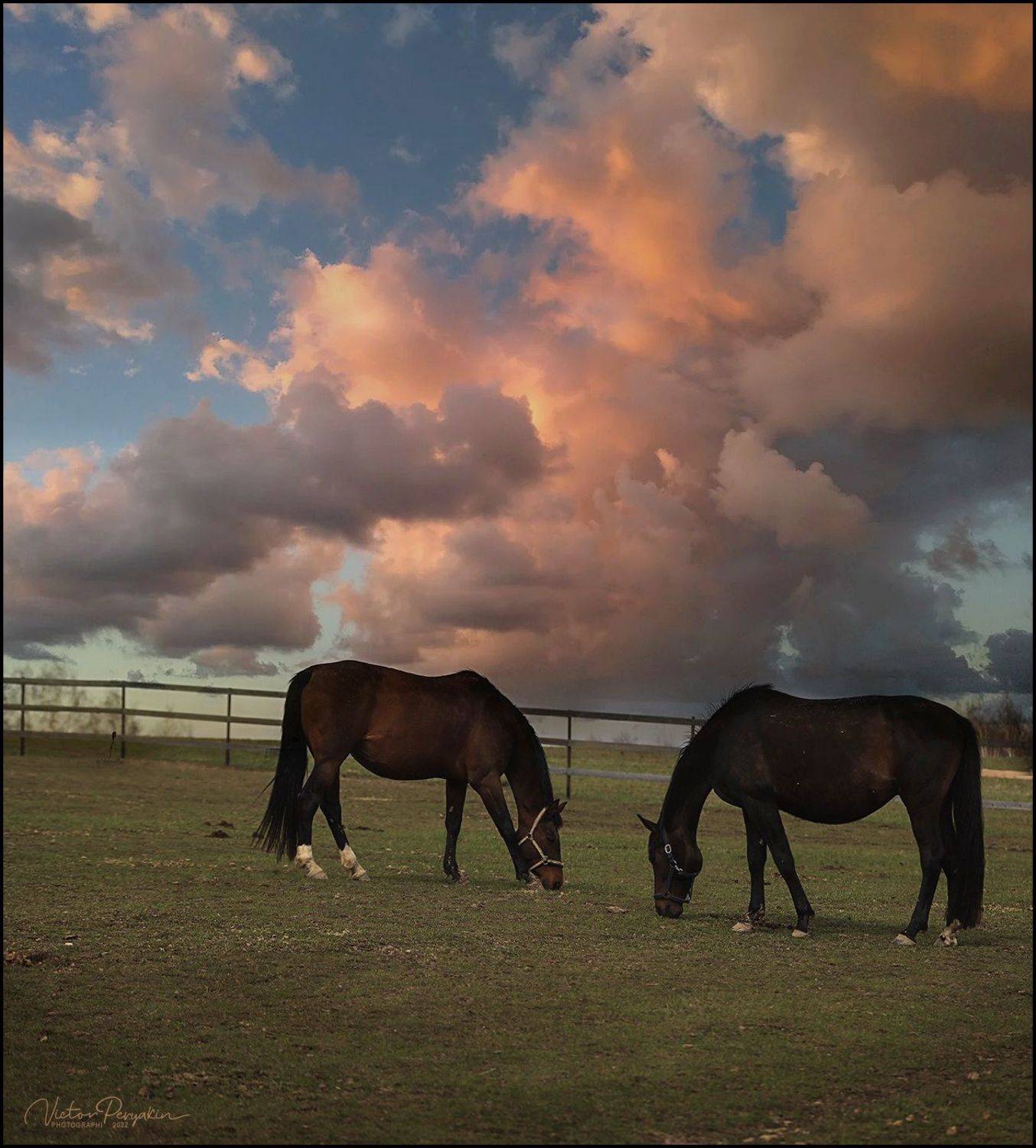 , Виктор Перякин