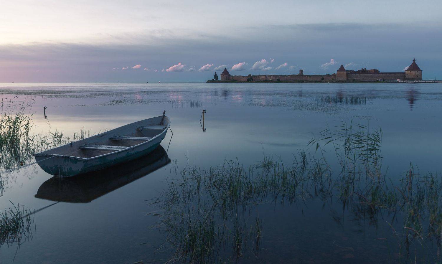 ленинградская область, Писарев Александр