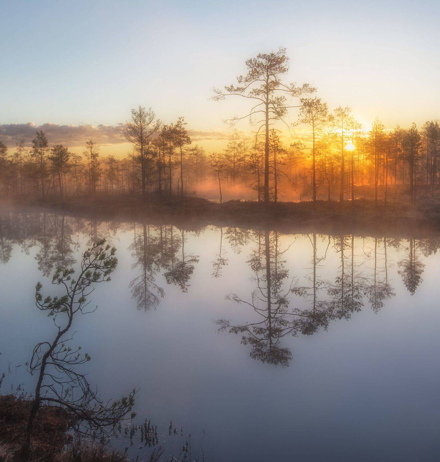 болото, кайф, рассвет ,север ,солнце, свет, закат, облака, отражение, фототур, Павел Ващенков