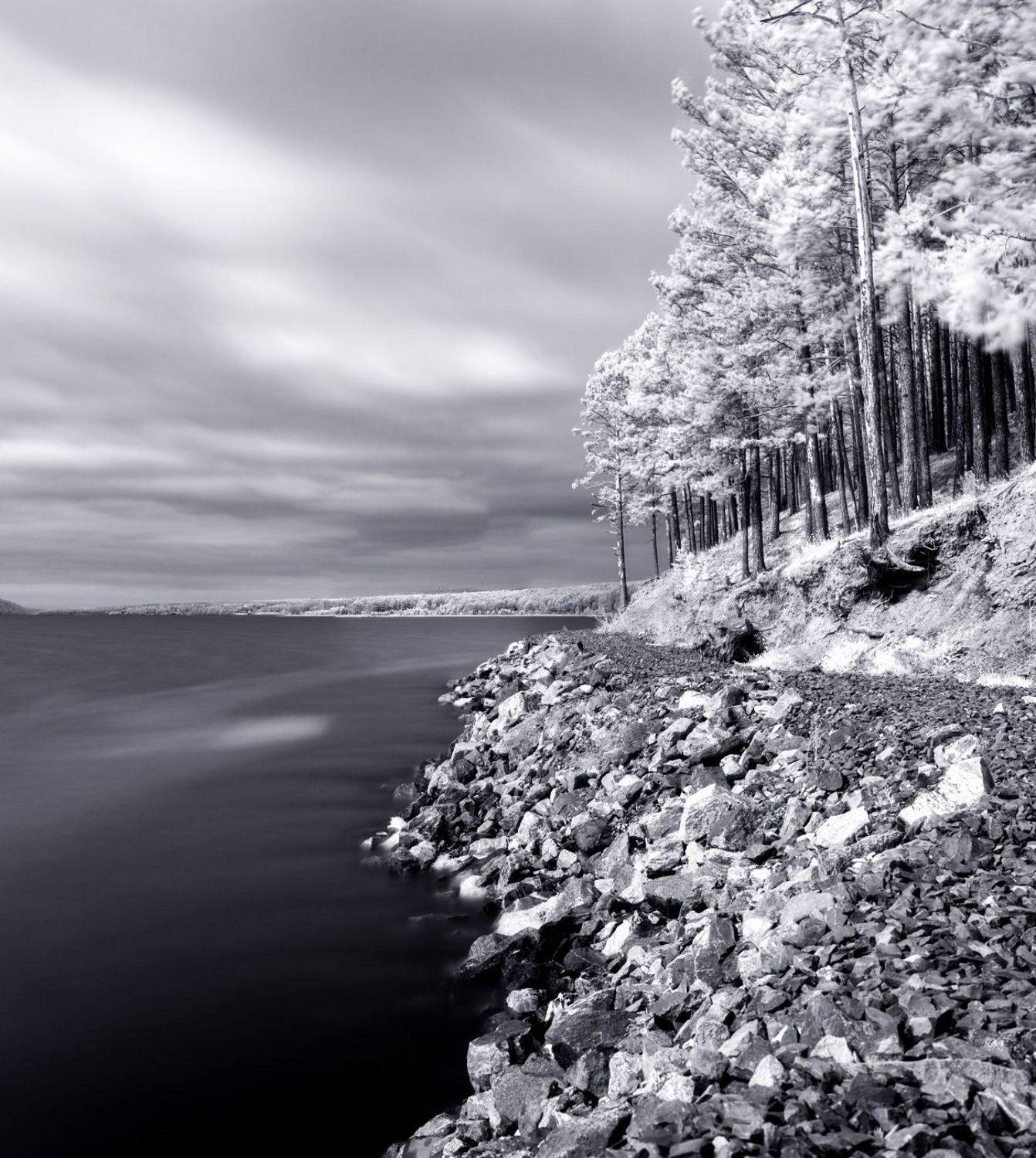 , Игорь Железняк