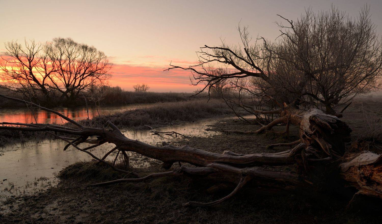 , Андрей Балабин