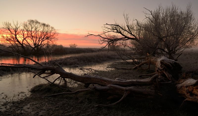 Холодное утро 23-го... начало. фото превью