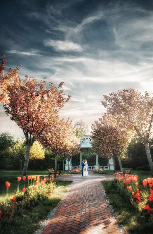 *** фото превью