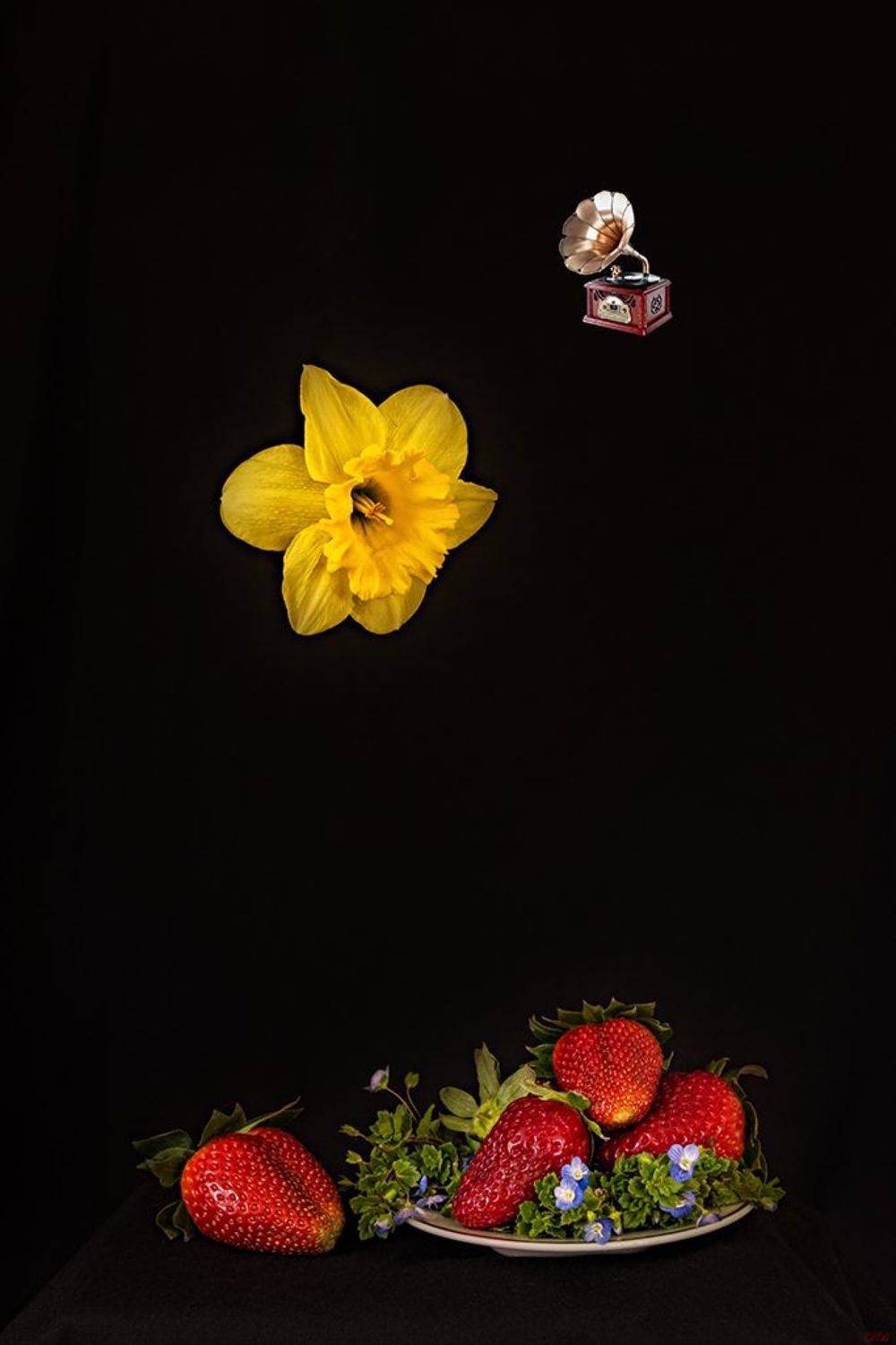 collage, color, colors, color image, concept, conceptual, digital, editing, green, photography, plate, plateful, red, secret, still life, strawberry,, Dr Didi Baev