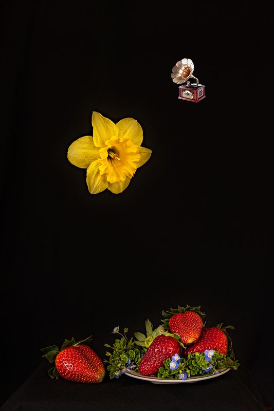 collage, color, colors, color image, concept, conceptual, digital, editing, green, photography, plate, plateful, red, secret, still life, strawberry, A Plateful of Secrets фото превью