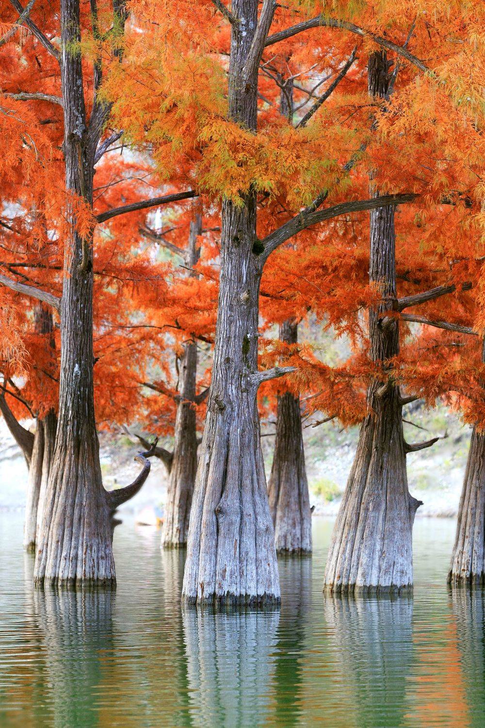 , Проценко Татьяна