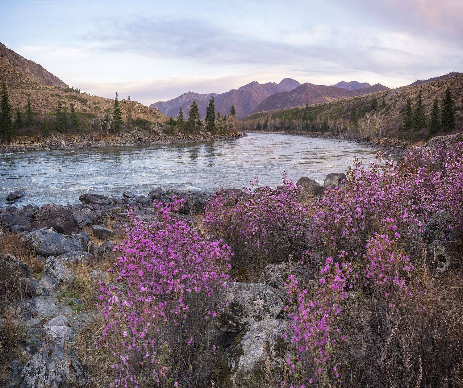 , Лещёнок Александр