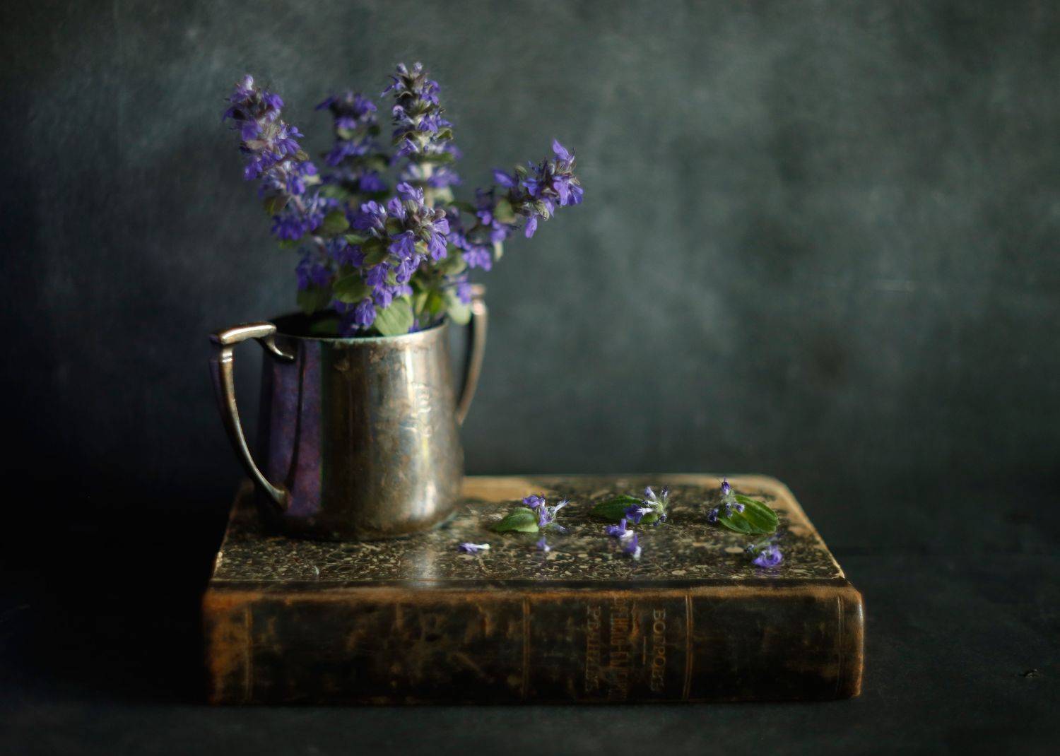 , Димитър Стоянов