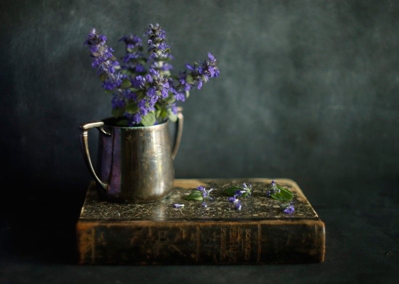 Френско - Български Речникь фото превью