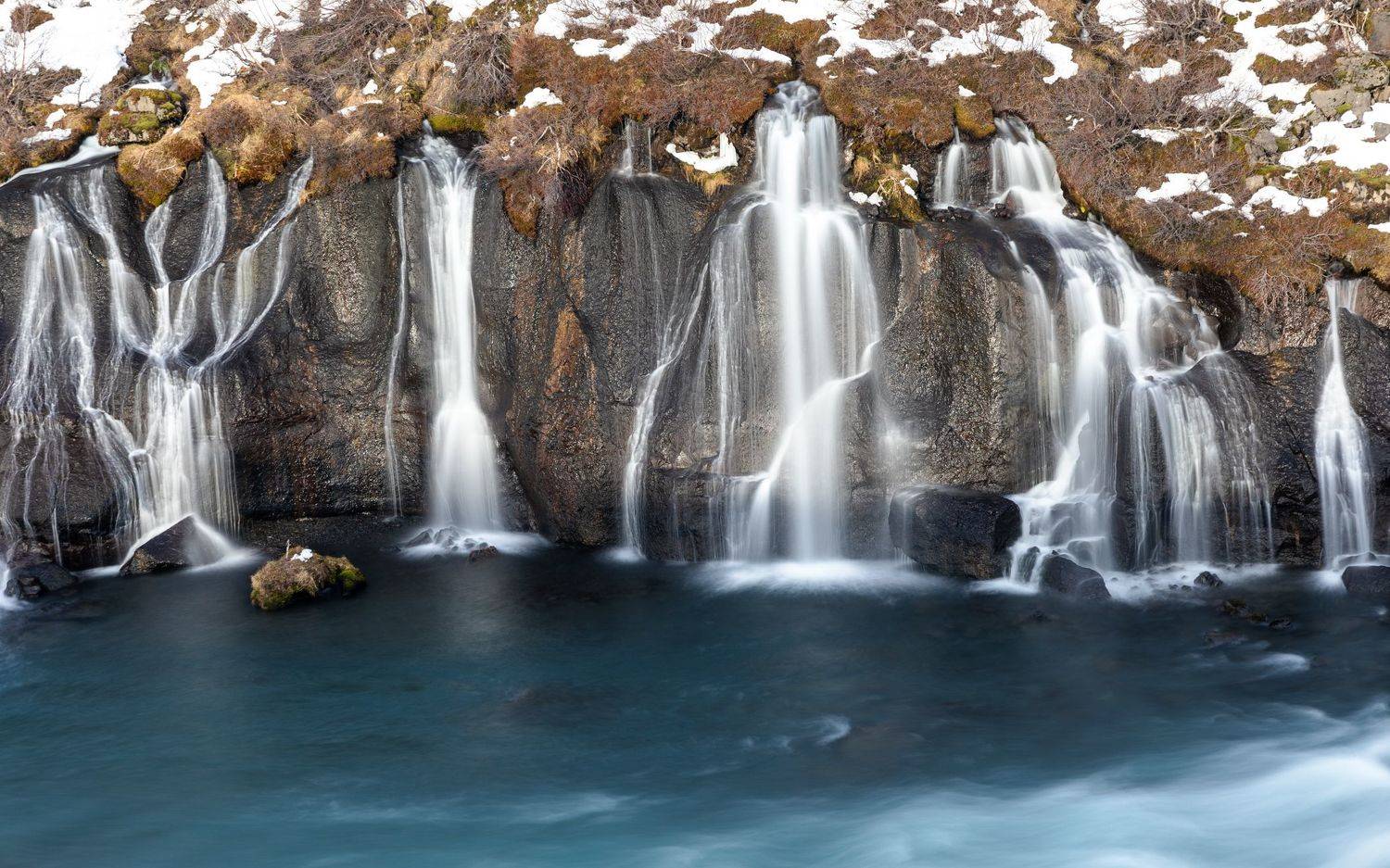 , Евгения Чех