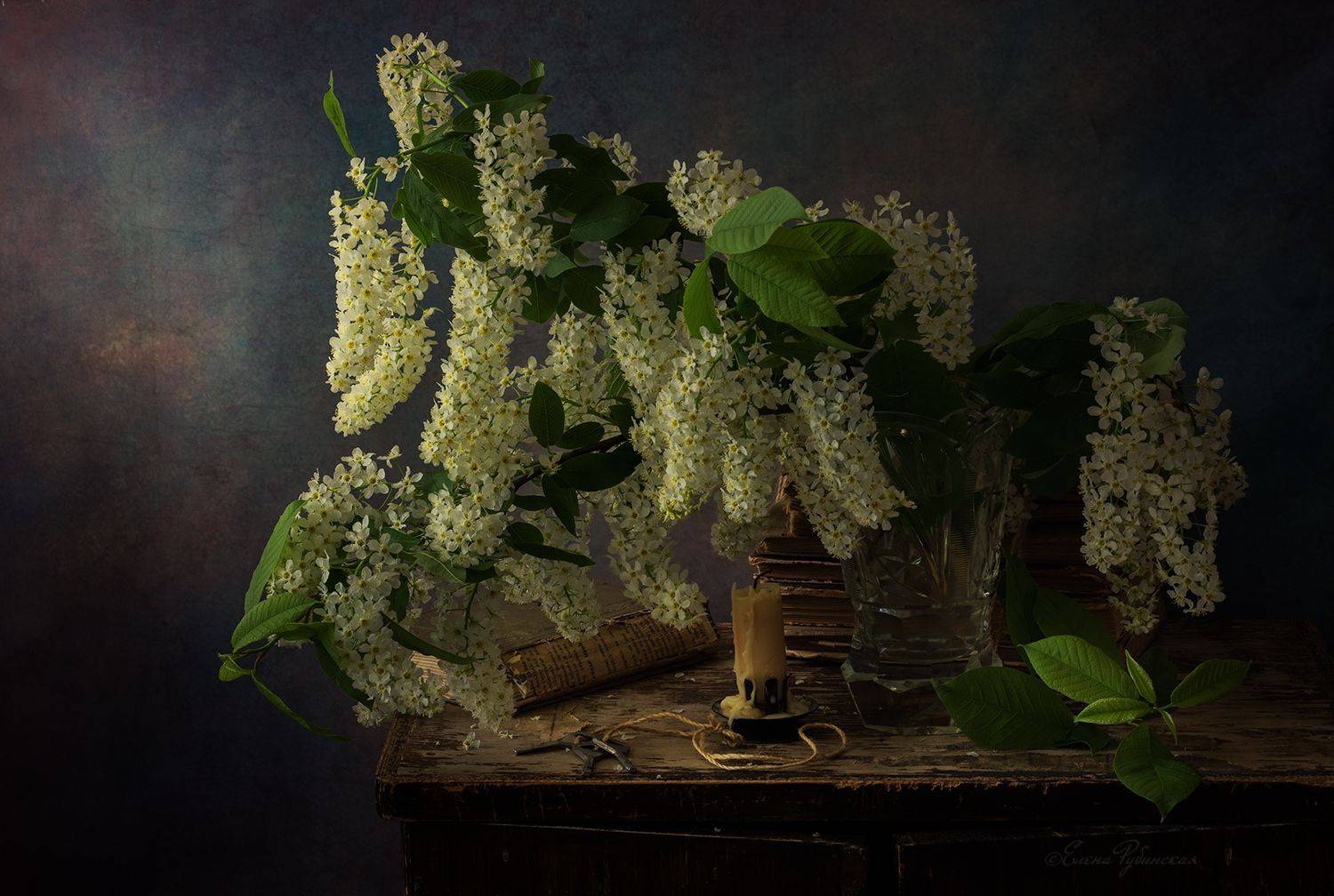 , Елена Рубинская